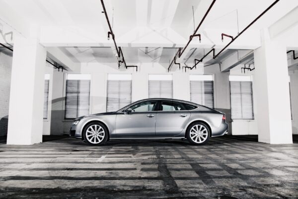 audifogels6 e1773695323841